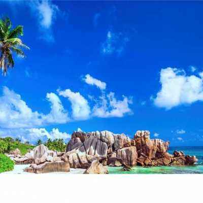 云顶集团app下载